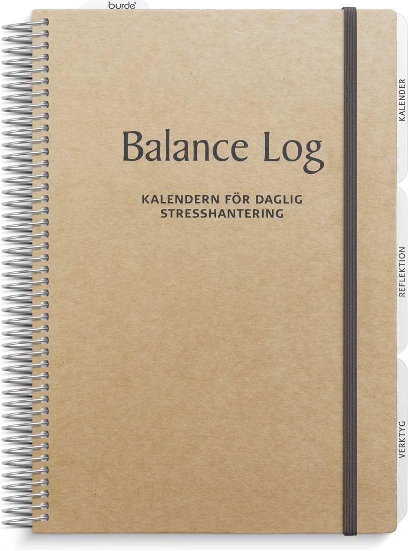 Balance Log -1049