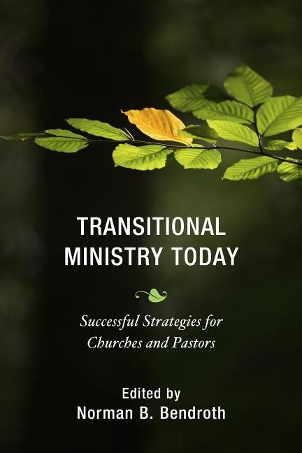 Transitional ministry today - successful strategies for churches and pastor