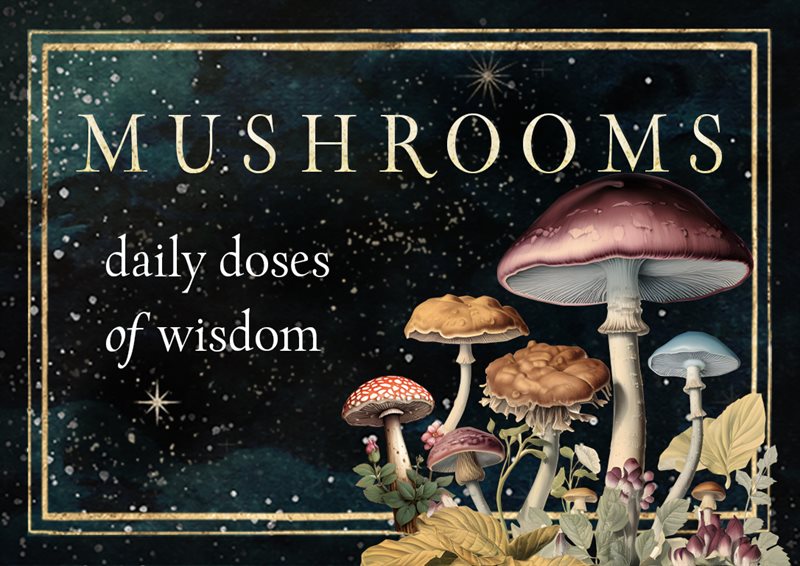 Mushrooms: Daily Doses of Wisdom (36 Gilt-Edged Full-Color Cards)