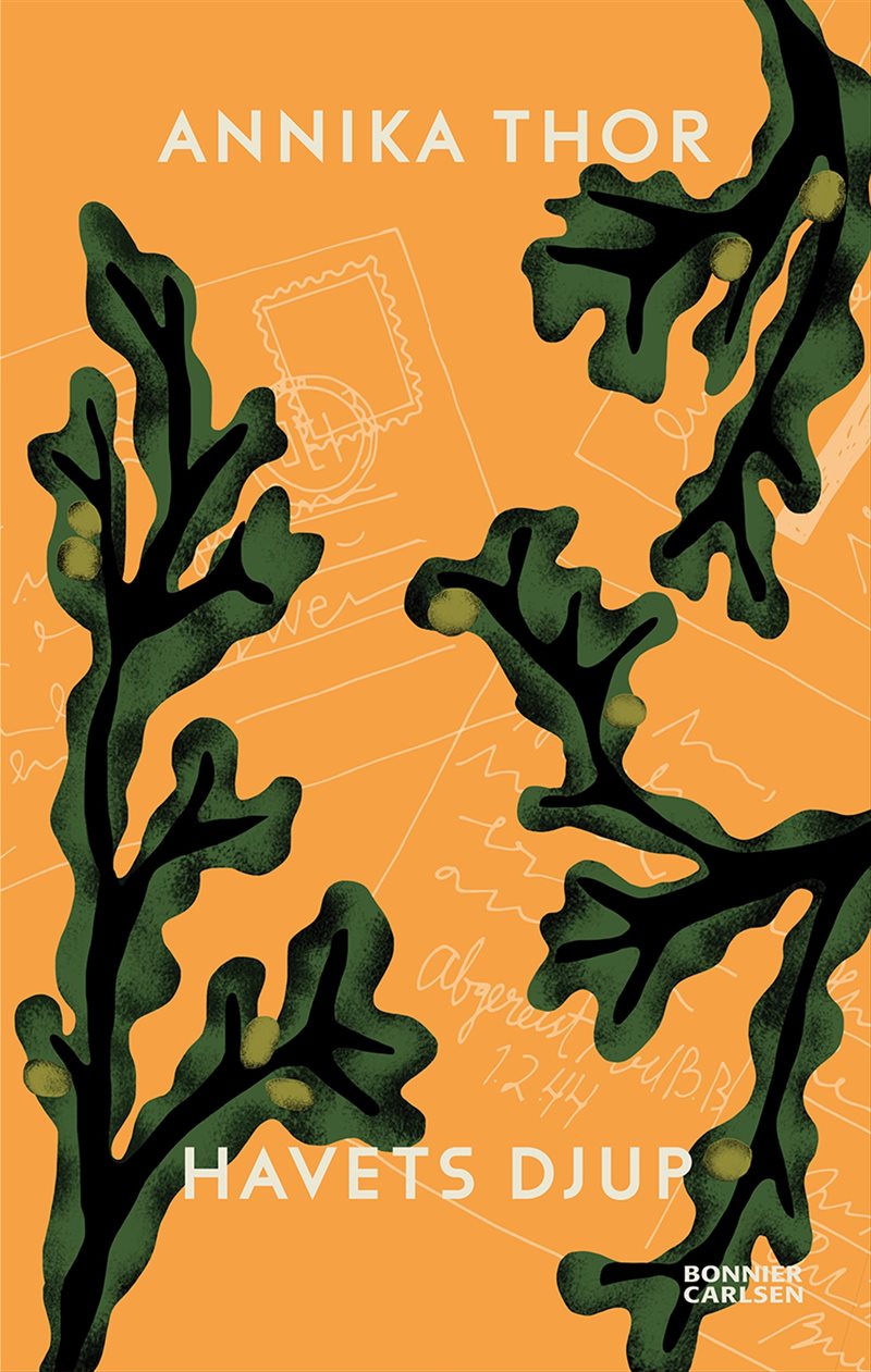 9789163895289_1