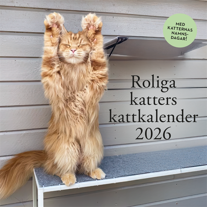 Roliga katters kattkalender 2026